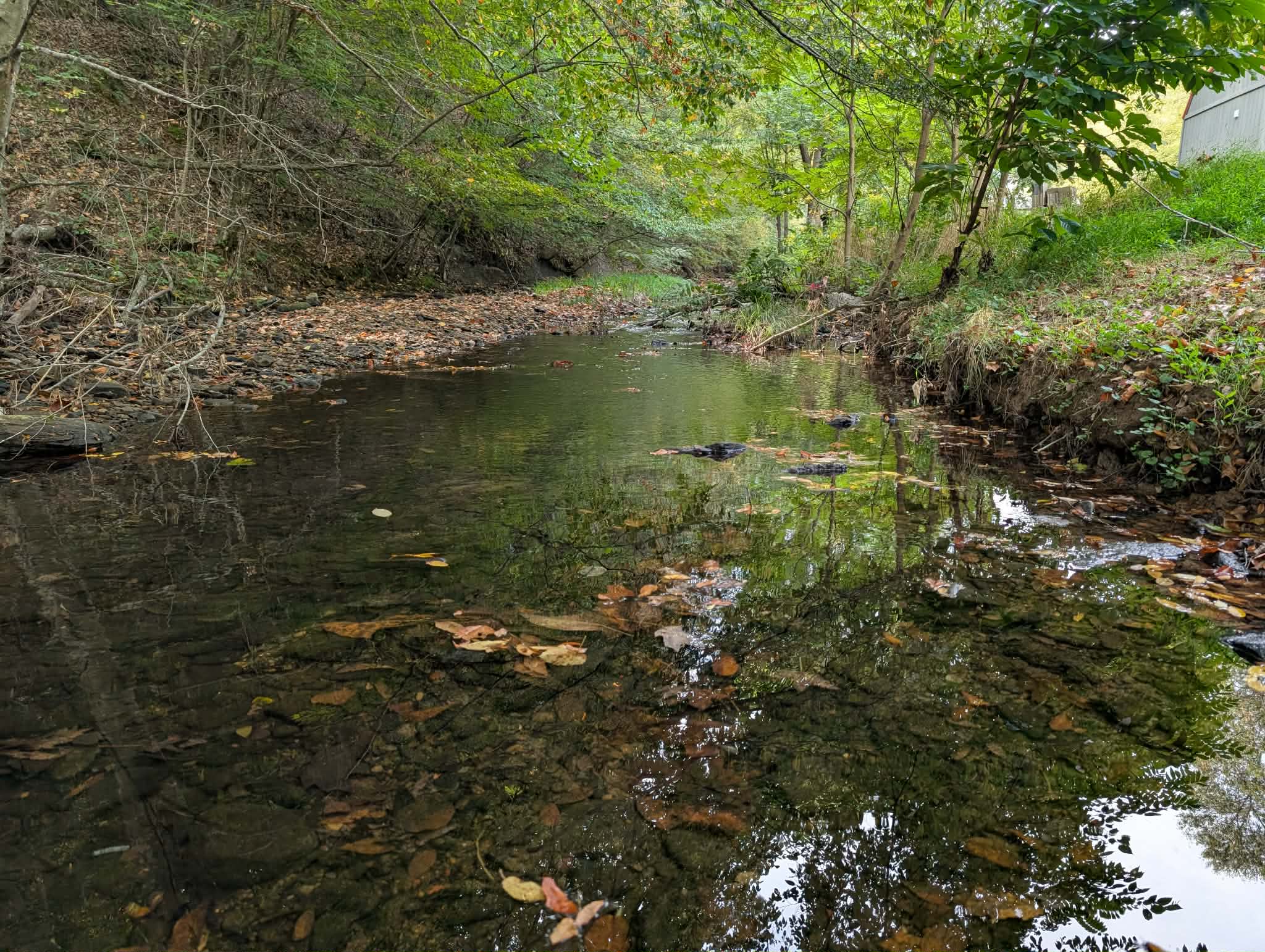 Creekside Cabin Image 2